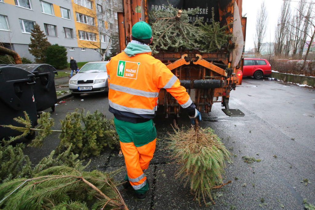 Kam s vysloužilým vánočním stromkem?