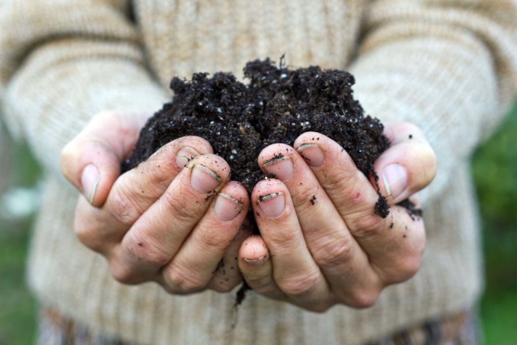 Vyzkoušejte vermikompostování a podpořte tak půdu kvalitním hnojem