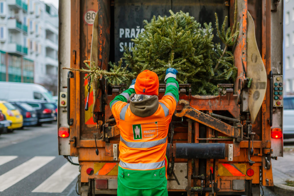 Likvidace vánočních stromků aneb ať symbol vánoční radosti nedělá jiným starosti