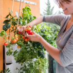 Český výrobek Berdík umožňuje snadné pěstování zeleniny na balkoně a postará se i o bioodpad z kuchyně