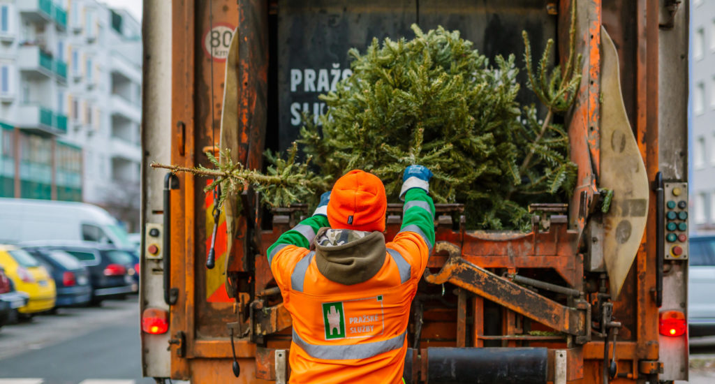 Jak se správně zbavit vánočního stromku? Do popelnice nepatří!