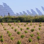 Solární panely už nemusí být postrachem české krajiny