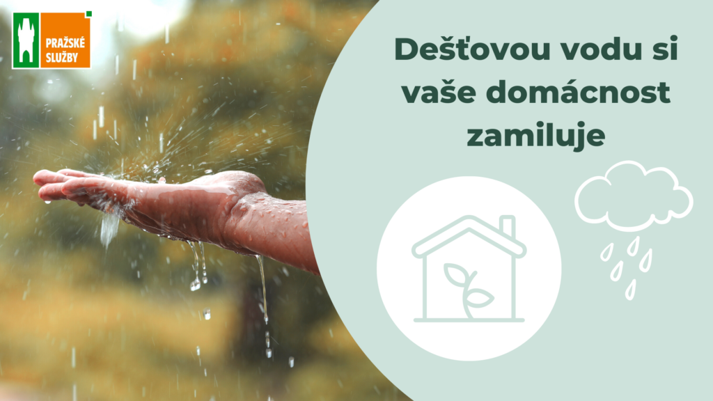 5 tipů, jak využít dešťovou vodu v domácnosti