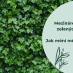 Mezinárodní den zelených stěn: Jak mění města i klima?