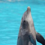 pexels-efrem-efre-2786187-26098693