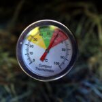 pexels-dino-81840072-29064093