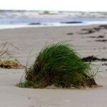 pexels-kristine-bruzite-2154597236-34891662 (1)