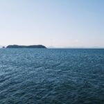 pexels-imhh-20593186